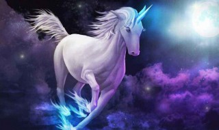 独角兽是什么意思 备注独角兽是什么意思