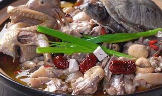 清肺吃什么好 清肺养肺最好的药