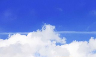 文艺森系的笔名（森系文艺治愈名字）