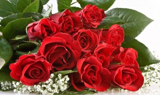 大学教师节的礼物都有什么（大学 教师节礼物）