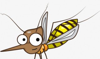 蚊子咬了以后如何止痒（蚊子咬了怎么可以止痒）