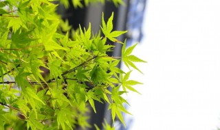 翻开以前照片心情短语（看照片回忆的感慨句子）