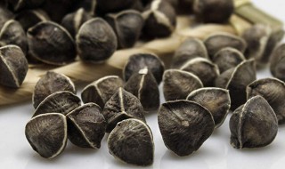 辣木籽都有什么功效（辣木籽都有什么功效治什么病）