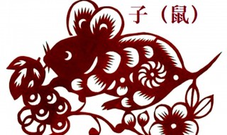 本命年要注意什么属鼠 本命年鼠的大忌