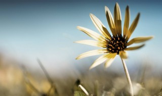 过去的说说心情短语 过去的说说心情短语内涵