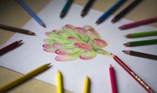 水溶性彩铅和油性彩铅的区别 水溶性彩铅怎么用