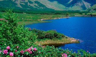 惦记牵挂短语 惦记牵挂短语图片