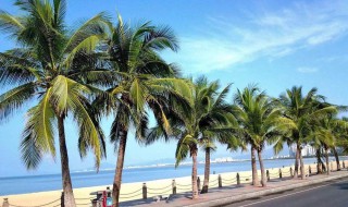 什么月份适合去三亚（几月份适合去三亚）