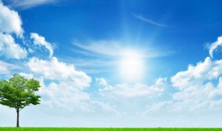 人心太假的说说 人心太假的说说图片 虚假