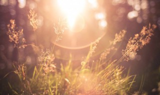 忙碌的生活很充实的说说（忙碌的生活很充实的说说工作）