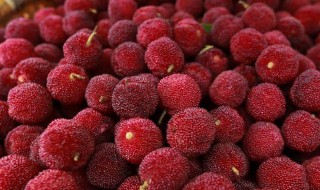 杨梅泡酒有什么功效 杨梅泡酒有什么功效能保存多久