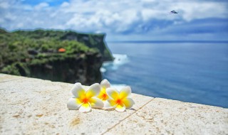 感恩所有的遇见说说 感恩所有的遇见说说配图片