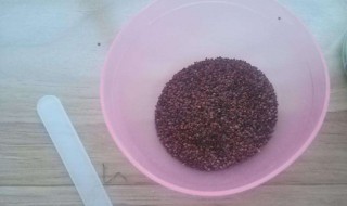 海藻面膜怎么调才有效（海藻面膜怎么调才有效泡多久最好）