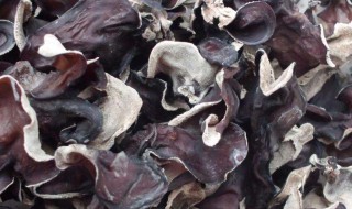 干木耳有保质期吗（干木耳有保质期吗?）