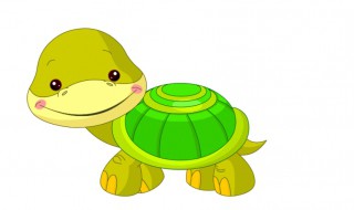 乌龟为什么拉黄水 乌龟为什么拉黄水便