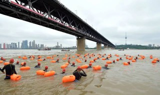 武汉渡江节什么时候开始2021（今年武汉渡江节几点开始）