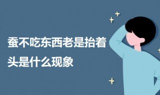 蚕不吃东西老是抬着头是什么现象 蚕不吃东西老是抬着头是什么现象视频