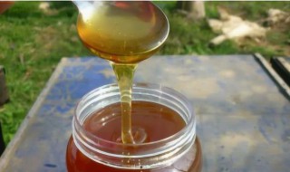 蜂蜜为什么有深色和浅色 蜂蜜为什么有深色和浅色的