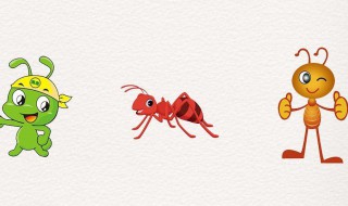 蚂蚁怎么预知下雨 蚂蚁怎么预知下雨的时间