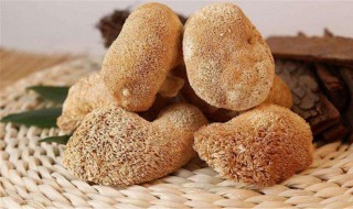 猴头菇畸形好还是圆头好 猴头菇怎么看好不好呀