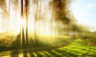 每天坚持晒太阳一年后变化 每天坚持晒太阳三年后