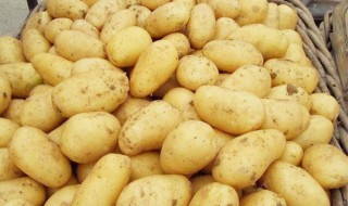 马铃薯黑心是怎么回事（马铃薯黑心病）