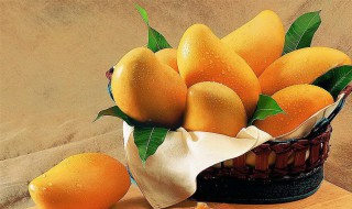 芒果还没熟就有黑斑出来是烂了吗（芒果还没熟就有黑斑出来是烂了吗能吃吗）