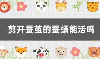 剪开蚕茧的蚕蛹能活吗 剪开蚕茧的蚕蛹能活吗答案