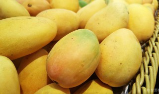 芒果切开了还能催熟吗（切过的芒果怎么催熟）