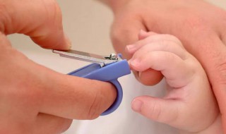 剪指甲应该剪到什么位置 剪指甲应该剪到什么位置好看