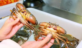 如何杀螃蟹和清洗 如何杀螃蟹和清洗视频