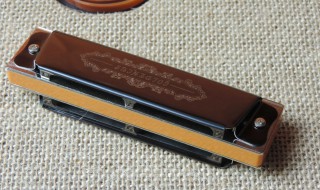 如何清洗口琴 如何清洗口琴音箱