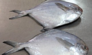 如何清洗鲳鱼 如何清洗鲳鱼视频