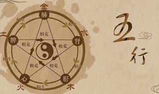 火生土是什么意思（土生金什么意思）