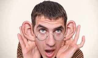 耳朵大的人代表什么（耳朵大的人代表什么动物）