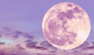 月亮代表什么（月亮代表什么意思）