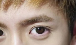 眉毛浓的男人代表什么（眉毛浓的男人代表什么怕老婆）
