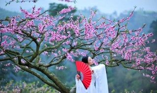 沐浴桃花是什么意思 时柱沐浴桃花是什么意思