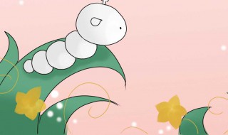 为什么厕所有很多小飞虫