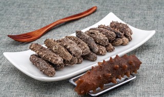 怎么泡干海参 海参怎么处理干净