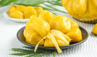 菠萝蜜要怎么存放老是容易坏 菠萝蜜打开后怎么保存不会坏