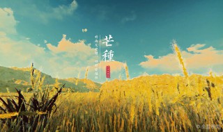 有关芒种的谚语和诗句（有关芒种的诗词描写芒种的诗句谚语）