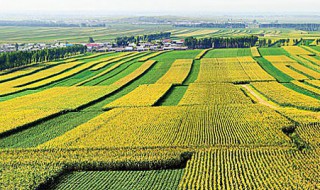 三江平原是哪三江（三江平原是哪三江?）