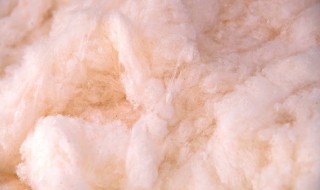 混合棉是什么面料（聚酯纤维混合棉是什么面料）