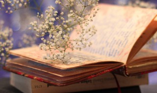 专项应付款是什么（其他应付款和专项应付款的区别）