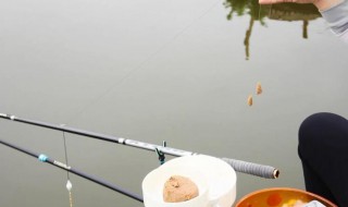 闷竿钓法用多重的坠（闷竿钓鱼坠用多大）