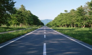 y是什么道路编号 Y是什么什么道路编号