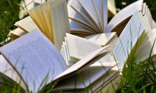 贸易顺差是什么（贸易顺差是什么?）