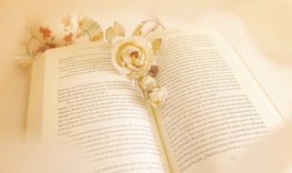 什么是恶意做空（做空和恶意做空）