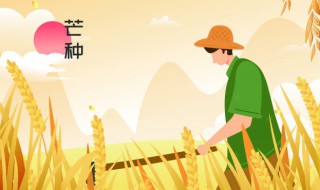 24节气分别是什么 24节气分别是什么按顺序排列